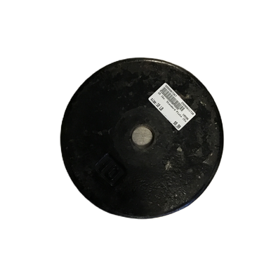 Used Standard Plate (each) 10 Lb 11730-s000067270