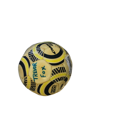 Used Champro 520 Performance All Size Soccer Ball White 3 11730-s000067259