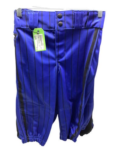 Used Champro Baseball Pant Bb Sb Pant Boys Royal Blue Md 11347-s000253770