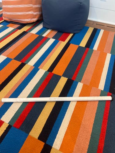 Adult Gait Ice Shaft (Used)