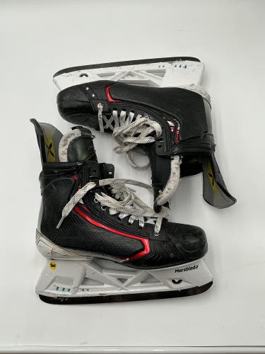 Grand Rapids Griffins Seger Bauer Vapor Hyperlite 2 Hockey Skates Pro Stock 10.5 (Used)