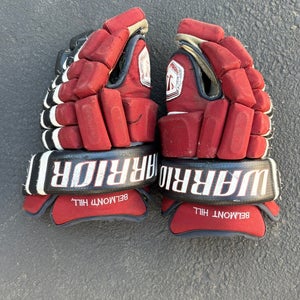 Warrior Franchise Gloves 14" Pro Stock (Used)
