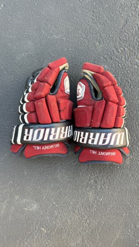 Warrior Franchise Gloves 14" Pro Stock (Used)