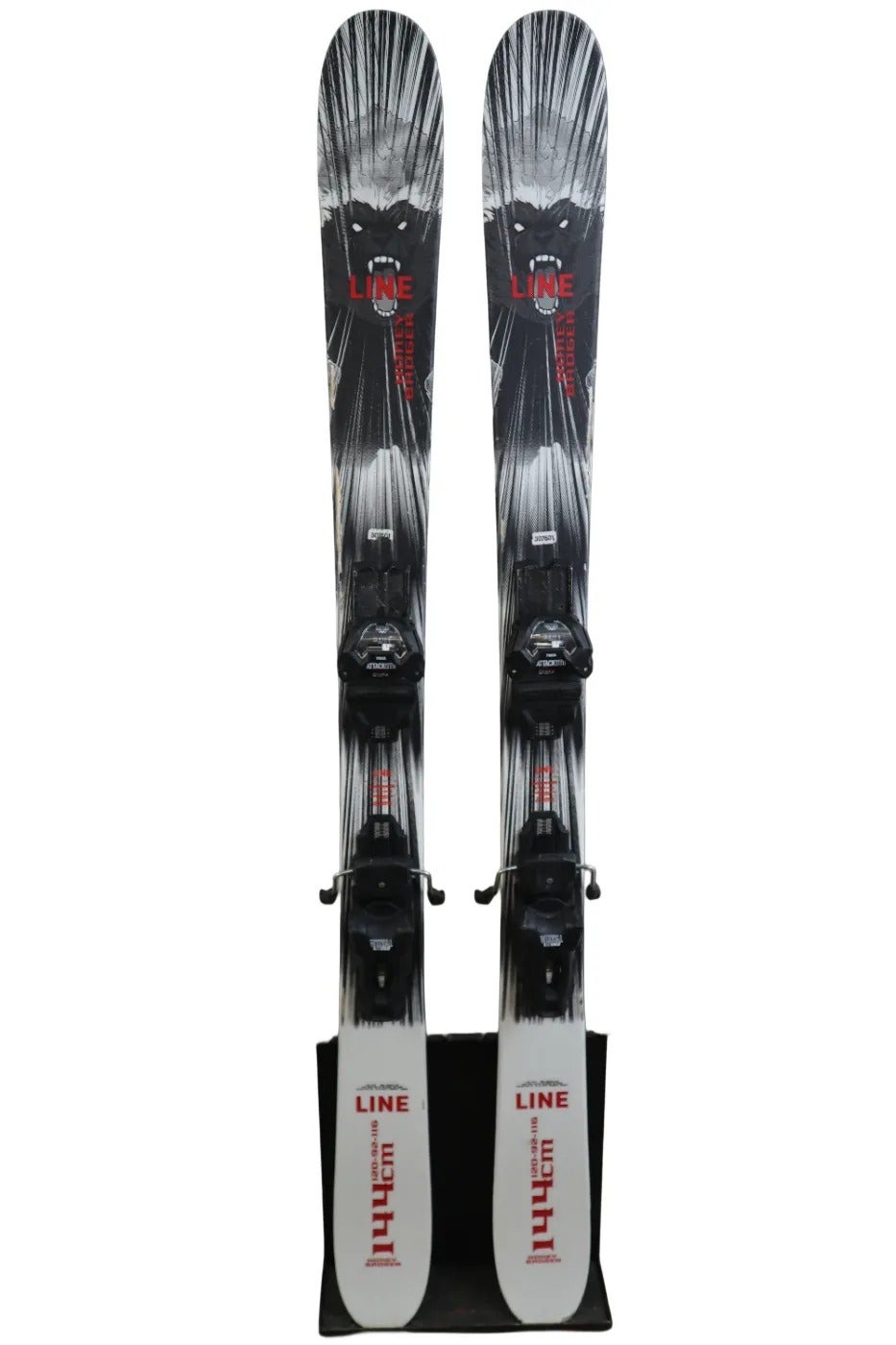 Line Tigersnake Skis | Used and Closeout