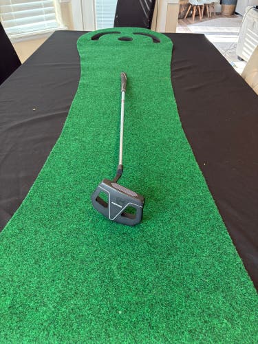 Golf Putter: Men's Mallet Right Handed Putter (Used)
