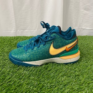 Nike Zoom Lebron NXXT Gen Shoes | Men's Size 10