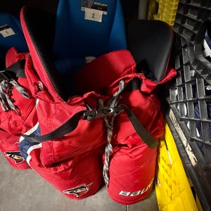 Men's Senior Medium Bauer Nexus Pro Hockey Pants Pro Stock (Used)