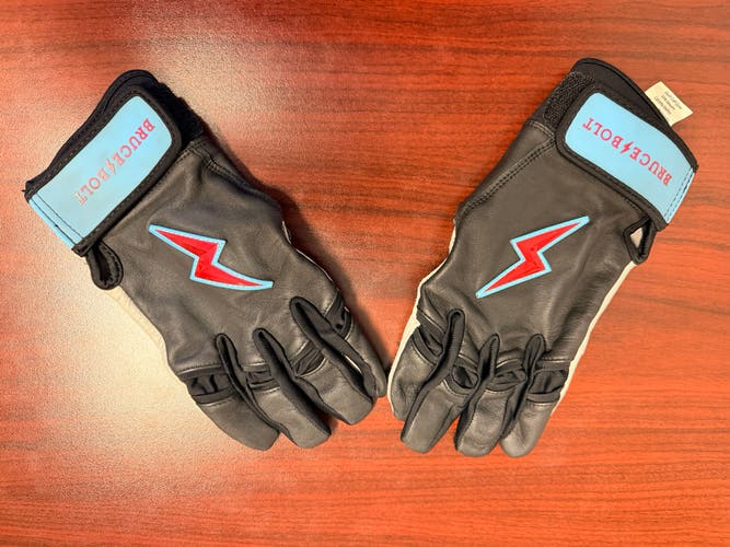 Large Batting Gloves (Used)