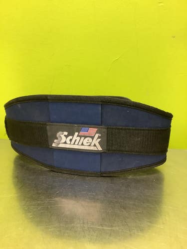 Used Schwinn Exercise & Fitness Accessories 11686-s000026280