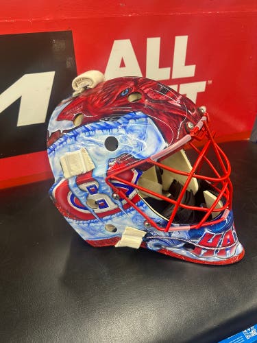 Senior Medium Itech Profile 950/51 Goalie Mask (Used)
