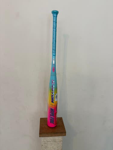 2026 Easton Hype Fire Composite USSSA Certified Bat (-10) 22 oz 30" (New)