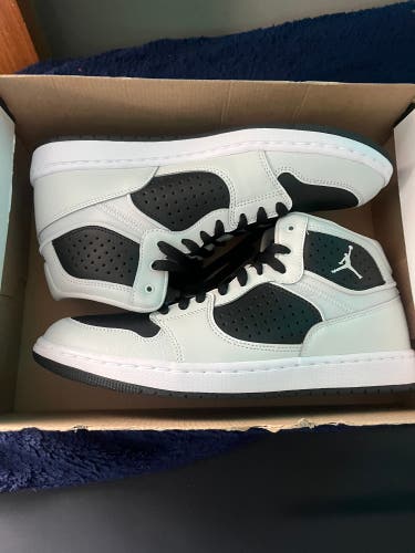 Black Men's Size M 10.0 (W 11.0) Adult Jordan Access Shoes (New)