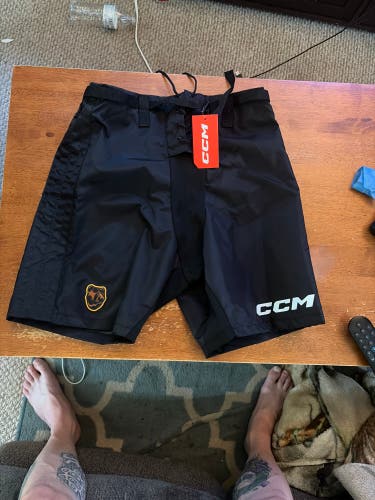 Boston Bruins Pooh Bear Logo Sample CCM Hockey Shell