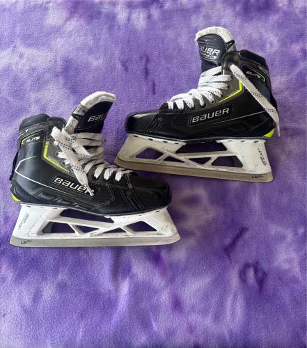 Senior Bauer Elite Hockey Goalie Skates 8 (Used)