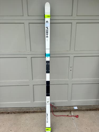 Men's 2024 HEAD Racing 218 cm WC Rebels e-DH Skis Without Bindings (New)