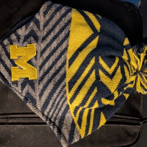 Michigan hockey package