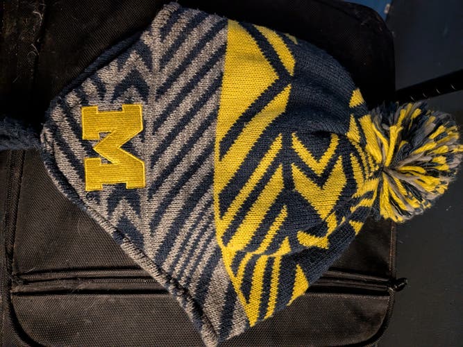 Michigan hockey package