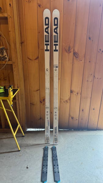 HEAD WC Rebels e-GS RD 193 cm Racing Skis (Used) | SidelineSwap 