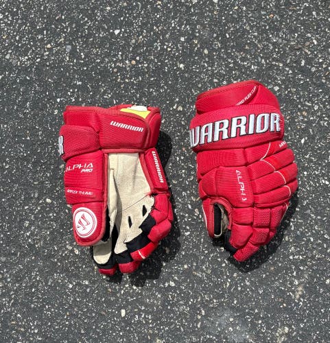 Warrior Alpha Gloves 12" (Used)