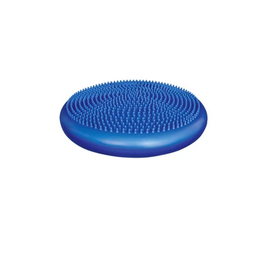 Bodysport Inflatable Balance Disc Exercise & Fitness Core Training 11490-bspzzrvdbl