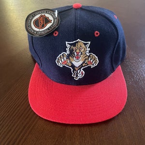 Florida Panthers Vintage Hat