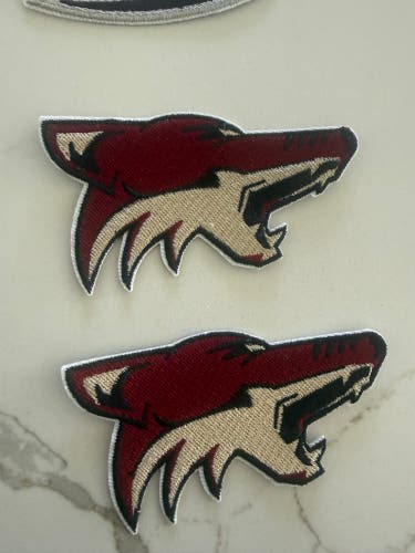 NHL Iron on Patches