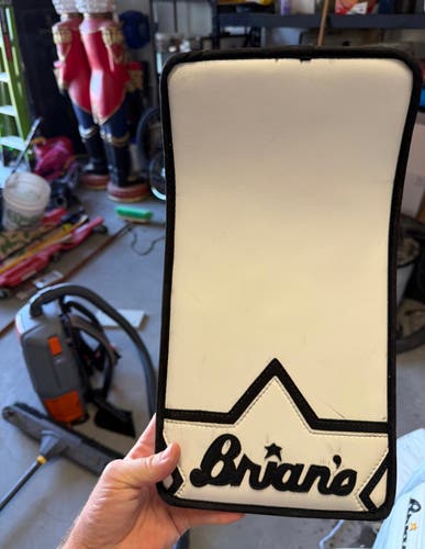2021 Brian's Iconik Regular (Used)