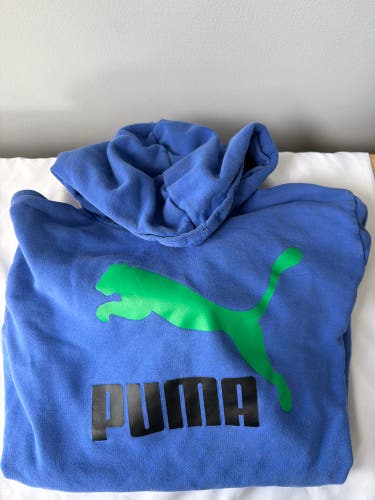 Blue Kids Unisex XL Puma Sweatshirt (Used)