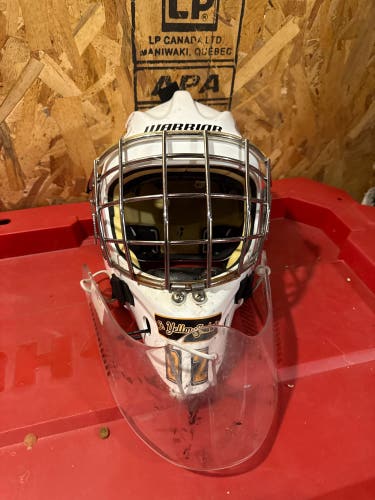 Junior Large Goalie Mask (Used)