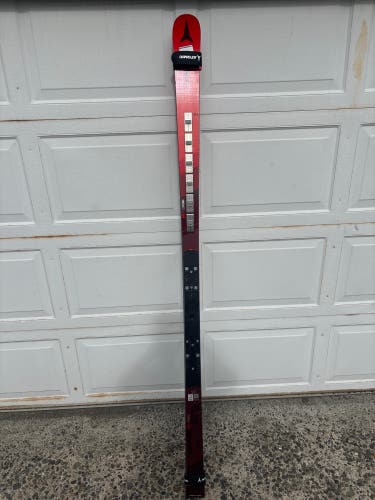 Atomic Redster FIS GS 193 cm Skis (Used)
