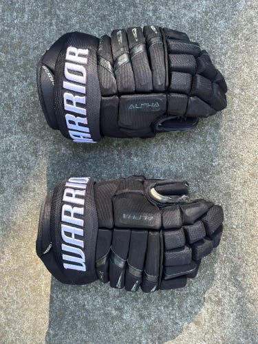 Black Senior Warrior Alpha DX Pro Gloves 14" (Used)