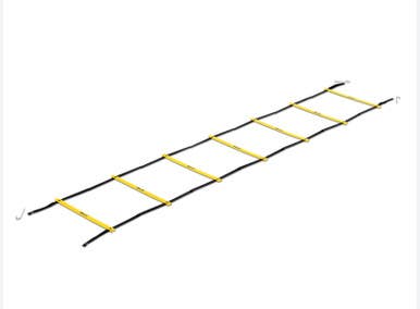 Used Sklz Ladder 11834-s000047574