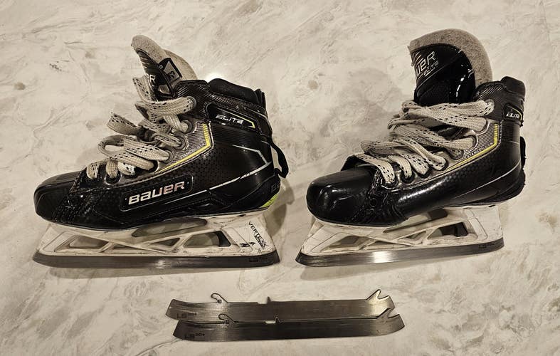 Bauer Elite Hockey Goalie Skates Regular D Width Size 3 (Used)