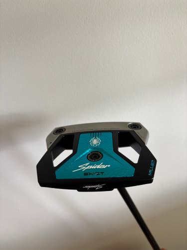 2025 TaylorMade TaylorMade Spider 5K-ZT Putter Mallet Right Handed Putter Steel Shaft 34" (Used)