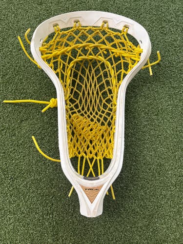 True lynx Head (Used)
