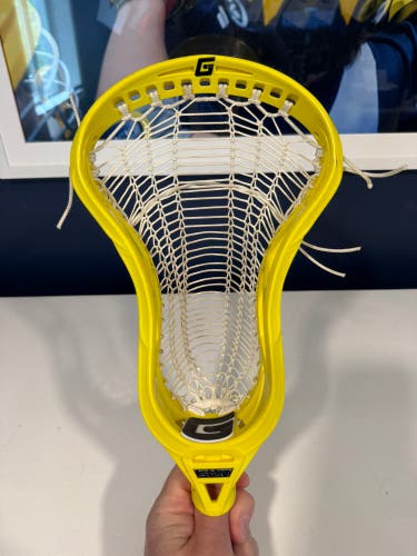 Gait Mustang Head (Used)
