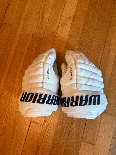 Warrior Alpha Gloves 13" Pro Stock (Used)
