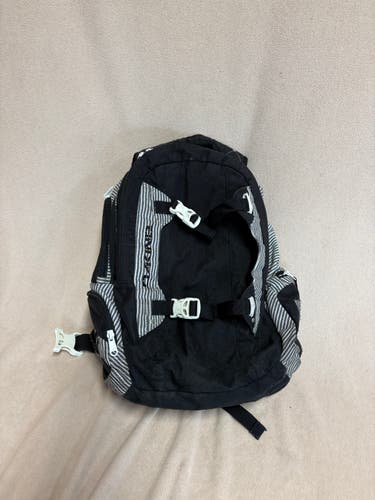 Dakine Ski Backpack (Used)