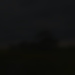 Rossignol gs