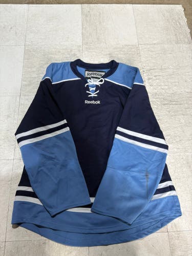 Florida Panthers Large Men's Reebok Jersey (Used)