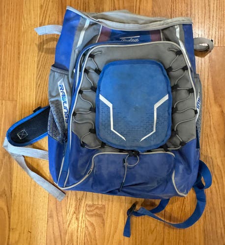 Rawlings Bat Pack (Used)