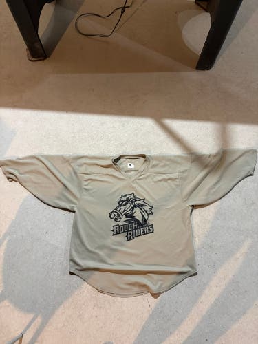 Gray Large Adult Unisex Jersey (Used)