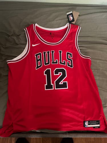 Authentic Nike NBA Swingman Ayo Dosunmu Bulls Jersey (Sealed)