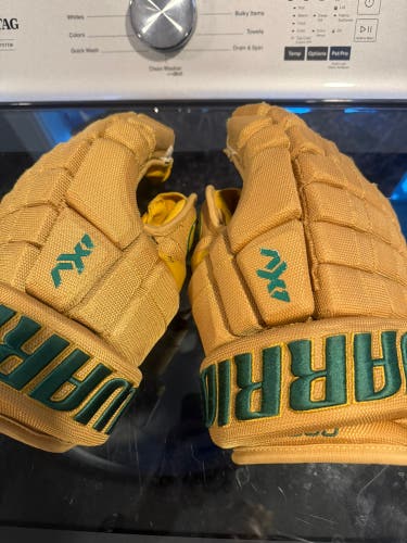 Warrior AX1 Pro Gloves 13" (Used)