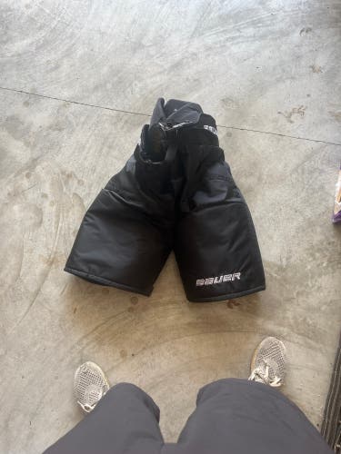 Senior Medium Bauer Supreme TotalOne NXG Hockey Pants (New)