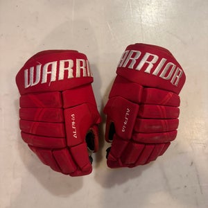Warrior Alpha DX4 Gloves 13" (Used)