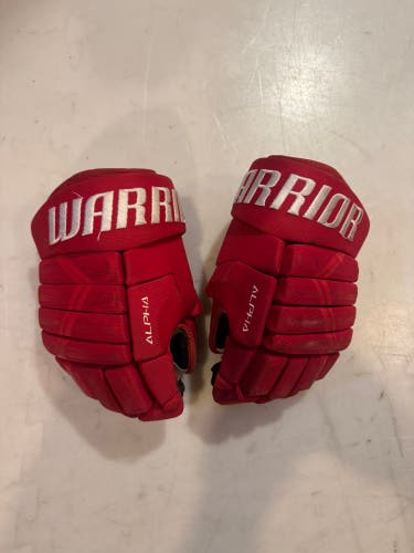 Warrior Alpha DX4 Gloves 13" (Used)