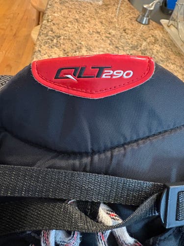 Junior Large CCM QLT 290 Hockey Pants (Used)