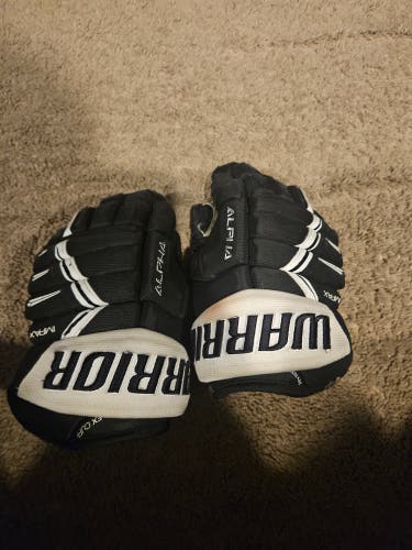 Warrior Alpha DX Pro Gloves 10" (Used)