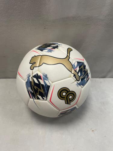 Used Puma Christan Pulisic Cp10 Ultra All Size Soccer Ball White 5 11490-s000274175
